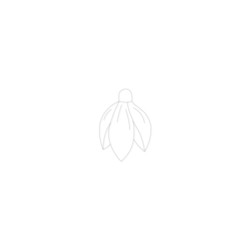 Baza Blank Ghiocel - 35x25 mm - Acril Transparent