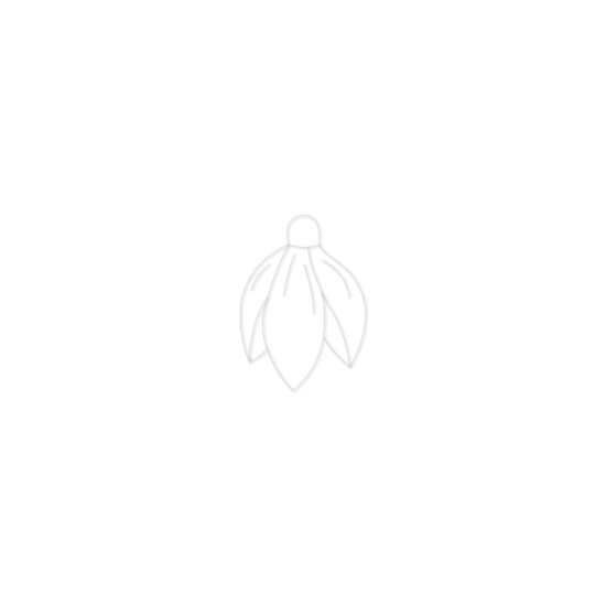 Baza Blank Ghiocel - 35x25 mm - Acril Transparent