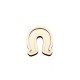 Set Doua Baze blank - Brosa-Martisor Licheni - Potcoava - 50x46 mm