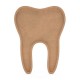 Forma cu Pocket din MDF pentru Muschi sau Licheni - Dinte D2 - 600x453x18 mm