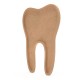 Forma cu Pocket din MDF pentru Muschi sau Licheni - Dinte D2 - 600x453x18 mm