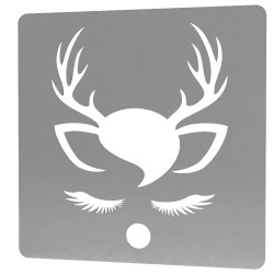 Sablon Reutilizabil Transparent 170x170mm - Renita cu Mot - Grosime 1mm